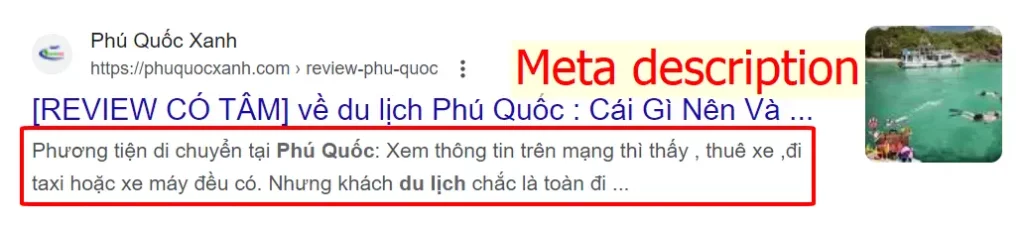 Chèn LSI Keywords vào Meta Descriptions