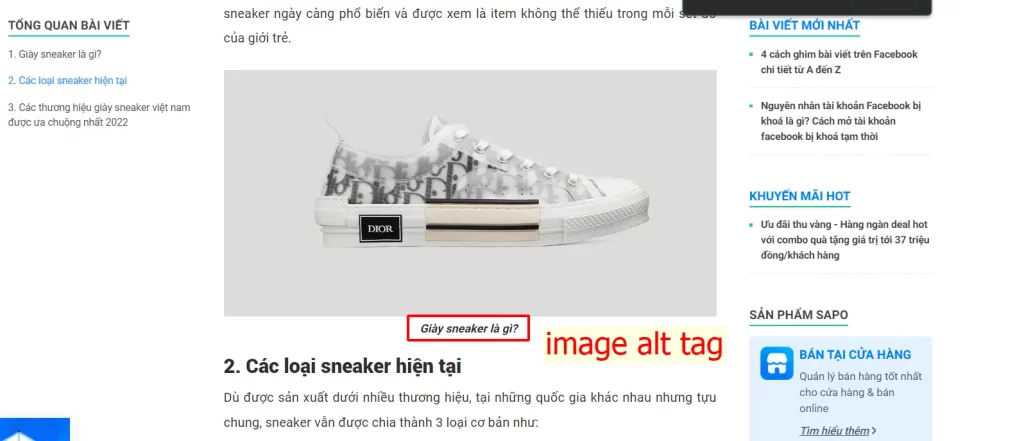 Đặt Từ khóa LSI trong Image Alt Tags